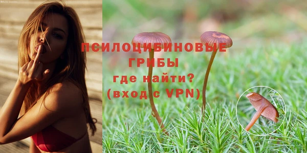 винт Баксан