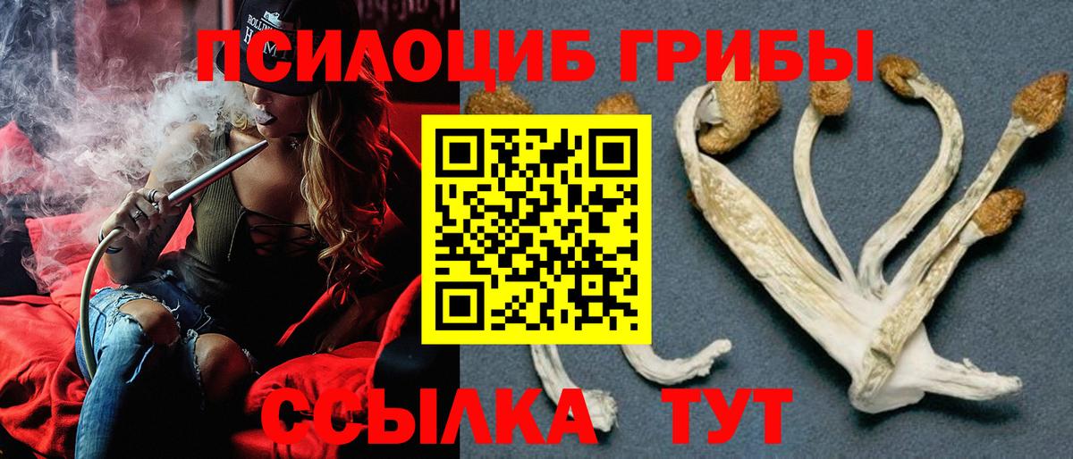 Псилоцибиновые грибы MAGIC MUSHROOMS Кунгур