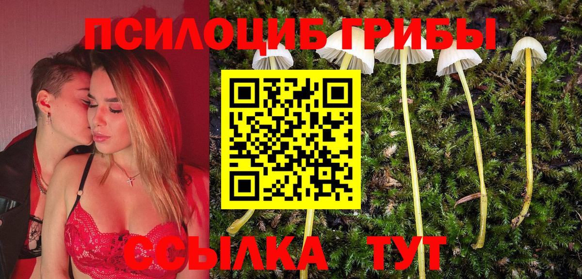 Галлюциногенные грибы Psilocybine cubensis  Вход с VPN  купить наркотик  Кунгур  Галлюциногенные грибы Magic Shrooms 