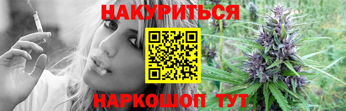 Бошки марихуана ГИДРОПОН  Канабис VHQ  Кунгур  Вход с VPN  Каннабис Bruce Banner  Шишки марихуана конопля 